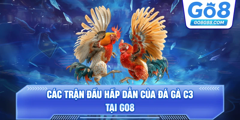 Cách tham gia Đá Gà C3 tại Go8